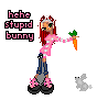 dumb ass bunny