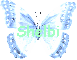 Shelbi-Butterfly 