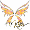 Kim-orangish butterfly
