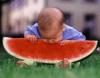 baby watermelon