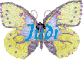 Butterfly for Judi