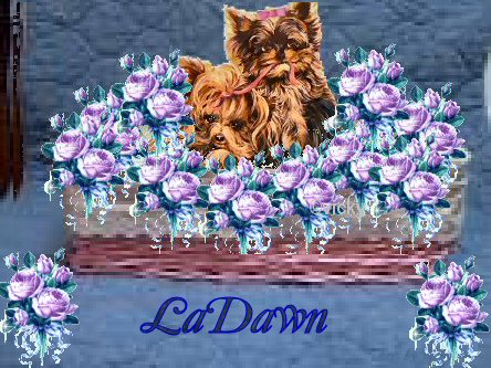 ladawn