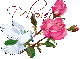 White dove pink roses - Deborah