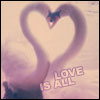 love is all