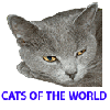 cats of the world