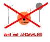 Dont Eat Animals