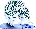 White tiger - Sherri