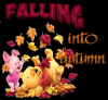 Falling into Autumn
