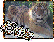Krista Tiger
