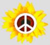 Peace is in bloom babii