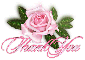 Pink Rose Thank you