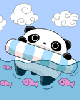 panda-swim