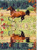 horse - forest, KoÅ„ w galopie, koÅ„ w jesieni