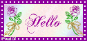 Purple green rose - Hello