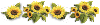 Sunflowers divider
