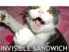 invisible sandwich