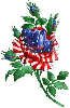 American Flower