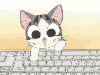 kitty keyboard