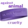 against animal cruelty