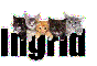 Ingrid (Kittens)