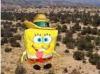 spongebob in texas