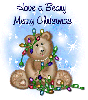 Have a Beary Merry Christmas