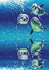 dolphin animated