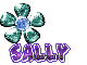 Sally gemflower 