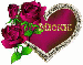 mickie's rosa & heart