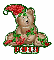 Xmas bear with Perry name