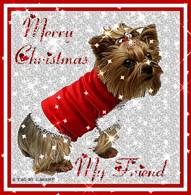 MERRY CHRISTMAS