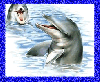 glitter dolphin in the sea