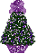purple mismis tree,  Lynn