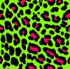 lime greeen nd hot pink leopard 