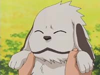 Akamaru