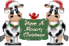 Xmas Cows - Have A Mooo-ry Christmas