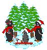 penguin family 