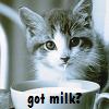 got milk ?