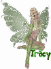 tracy fairy