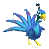 Peacock Strutting