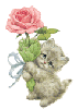 a kitty with a rose