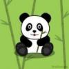 green panda cute