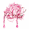 Pink Rose Glitter - Delia