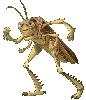 Giant Menacing Grasshopper