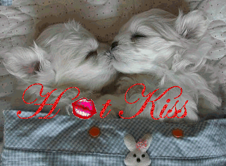 hot kiss