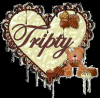 chocolate bear heart tripty