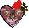 Heart cat with rose
