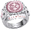 pittsburgh steelers diamond ring erika