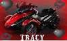 tracy spider