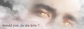 His golden Eyes